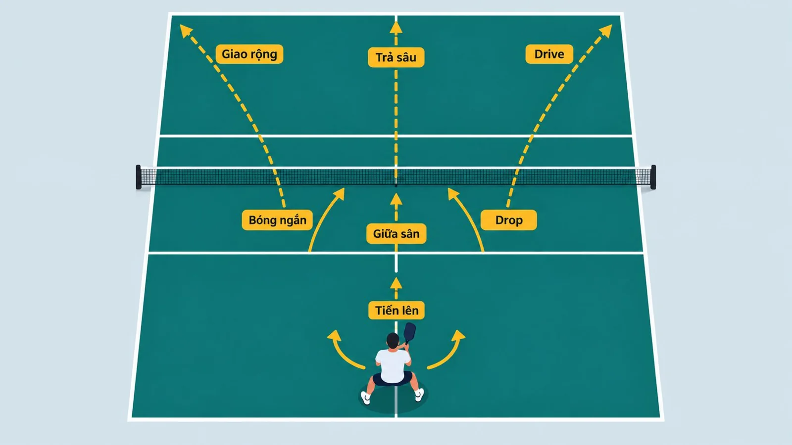 Sơ đồ sân pickleball với đường giao, đường trả sâu và vị trí giữa sân