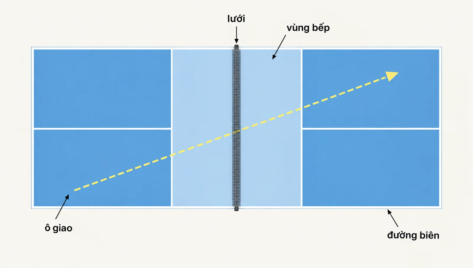Sơ đồ sân pickleball với lưới, vùng bếp, ô giao và đường biên