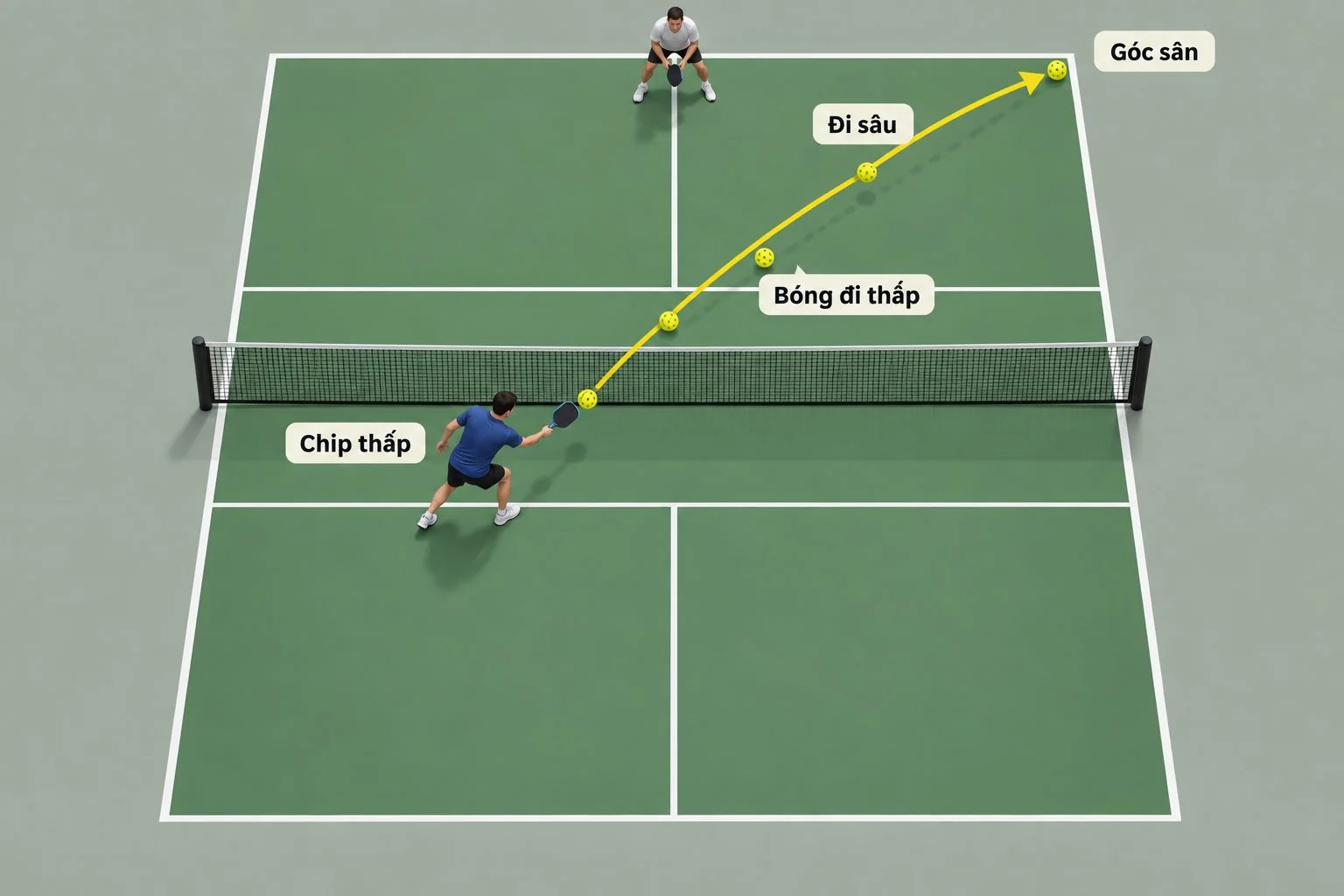Sơ đồ đường bóng chip thấp đi sâu vào góc sân pickleball